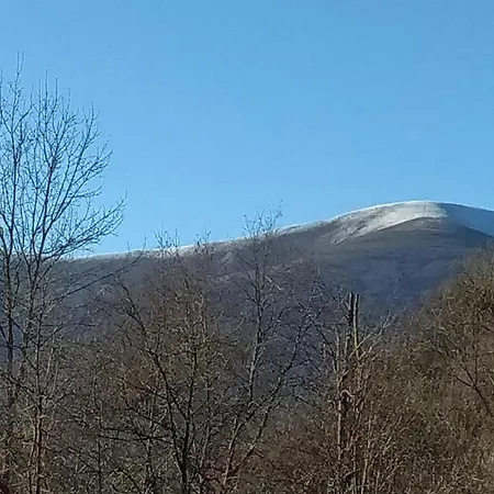 Nyaraló 